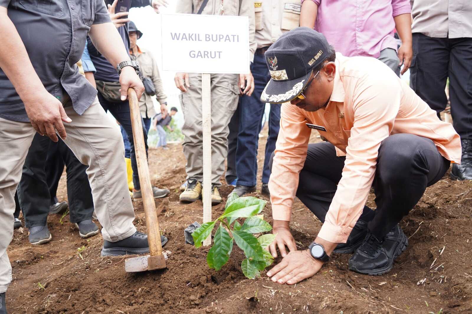 Dukung Petani: Pemkab Garut Targetkan Tanam 770 Ribu Pohon Kopi Arabika
